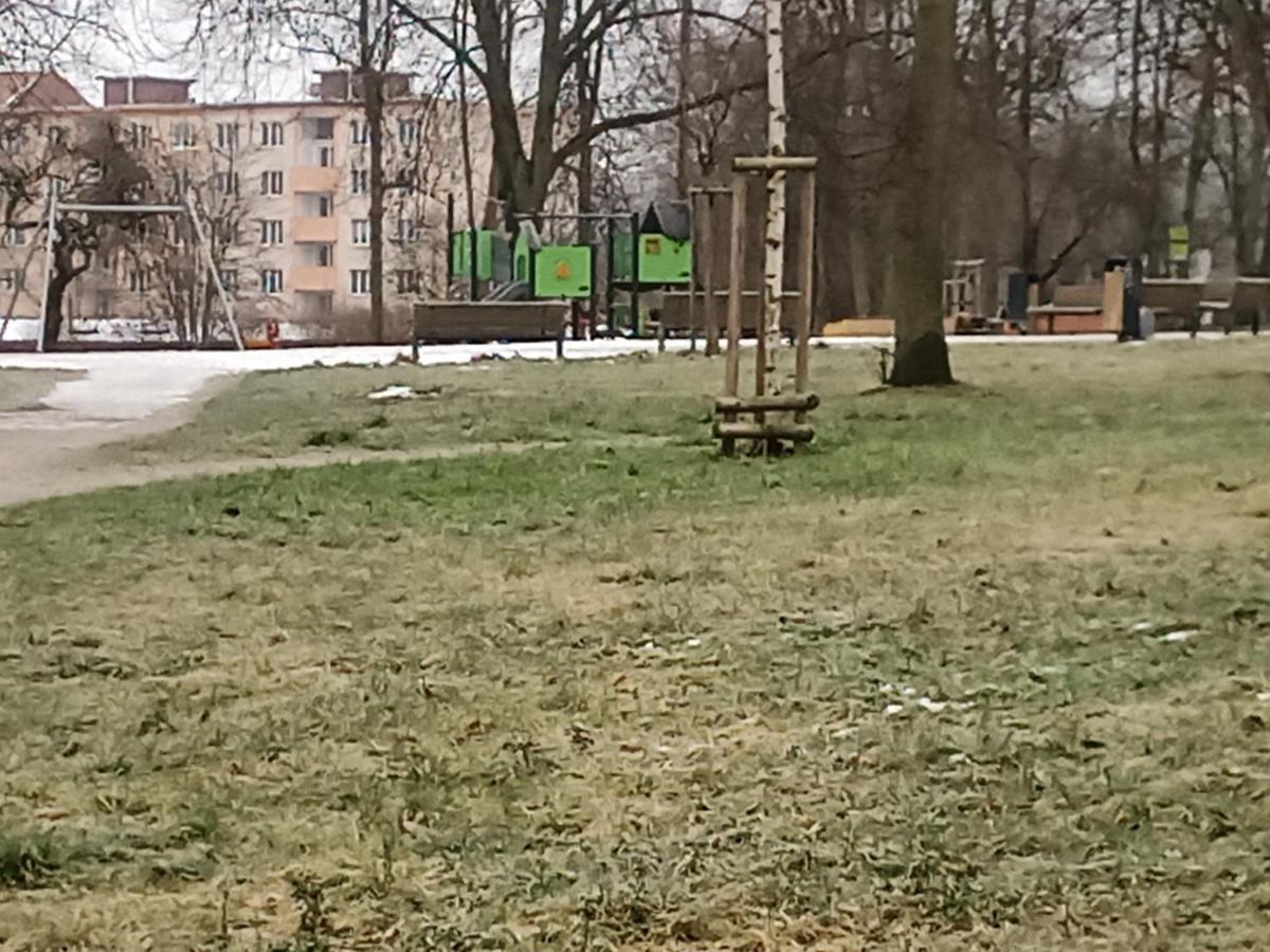 Apartament Na Cervene Louce Apartman Cheb Zewnętrze zdjęcie